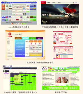 企业信息管理软件定制与信息系统运行维护服务的双轮驱动