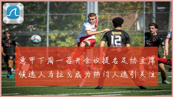 意甲下周一召开会议提名足协主席候选人马拉戈成为热门人选引关注